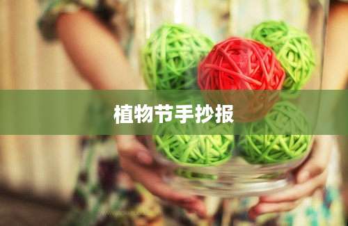 植物节手抄报