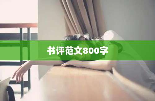 书评范文800字