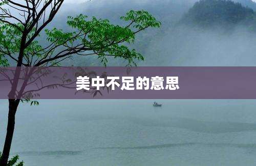 美中不足的意思