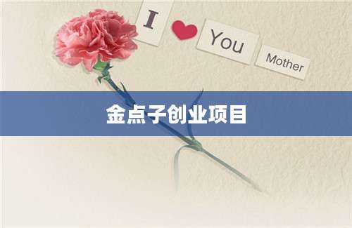 金点子创业项目
