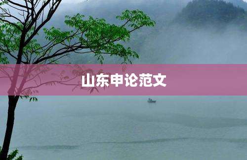 山东申论范文