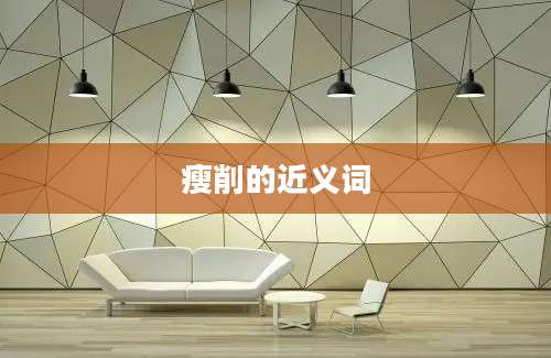 瘦削的近义词