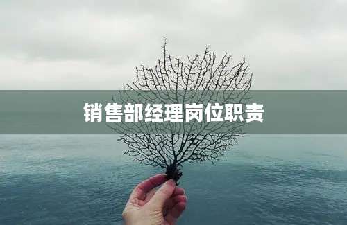 销售部经理岗位职责