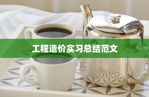 工程造价实习总结范文