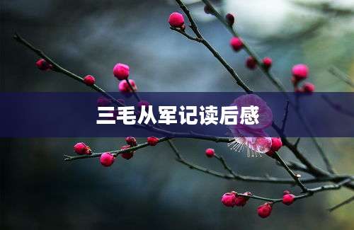 三毛从军记读后感