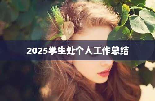 2025学生处个人工作总结