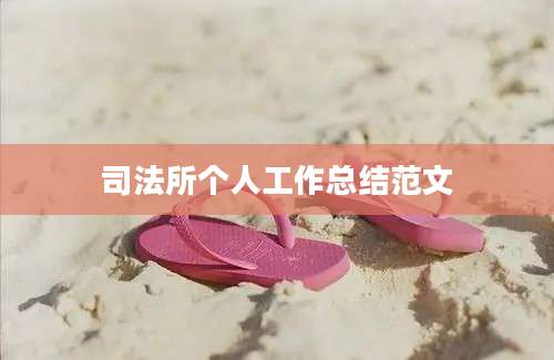 司法所个人工作总结范文