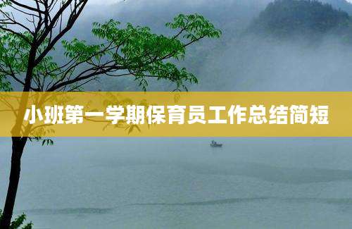 小班第一学期保育员工作总结简短