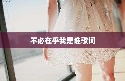 不必在乎我是谁歌词