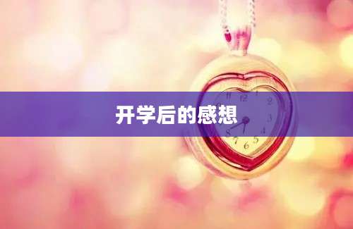 开学后的感想