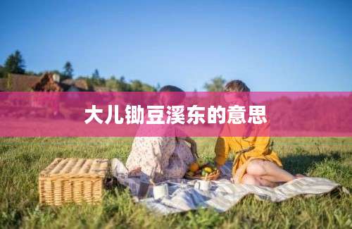 大儿锄豆溪东的意思