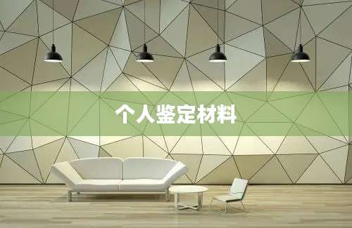 个人鉴定材料