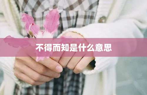 不得而知是什么意思