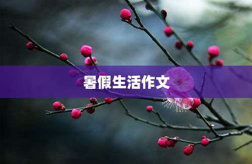 暑假生活作文