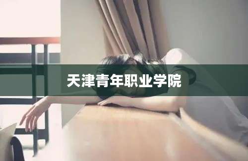 天津青年职业学院