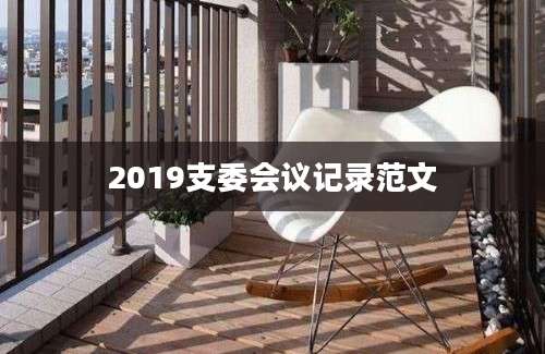 2019支委会议记录范文