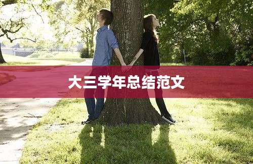 大三学年总结范文