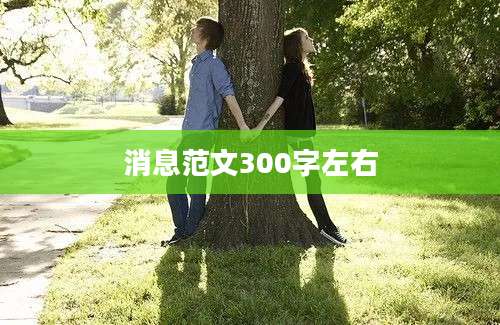 消息范文300字左右