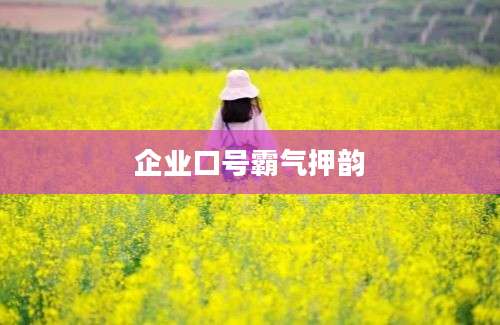 企业口号霸气押韵