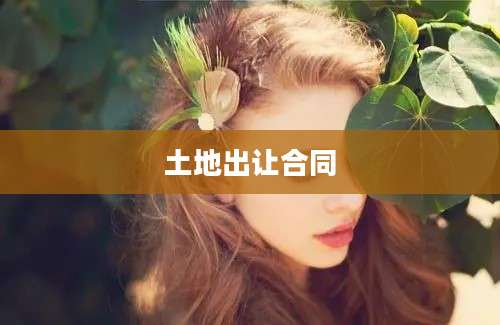 土地出让合同