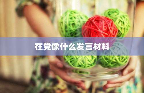 在党像什么发言材料