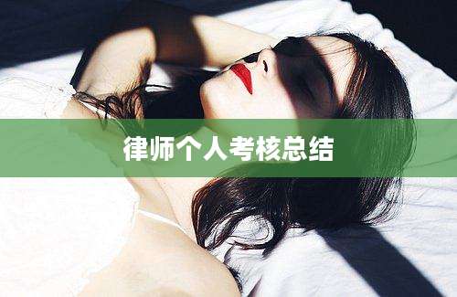 律师个人考核总结