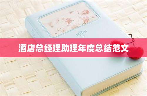 酒店总经理助理年度总结范文