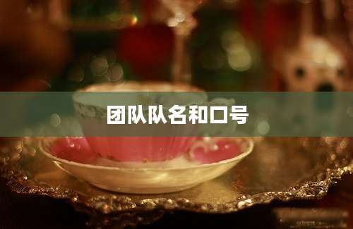 团队队名和口号