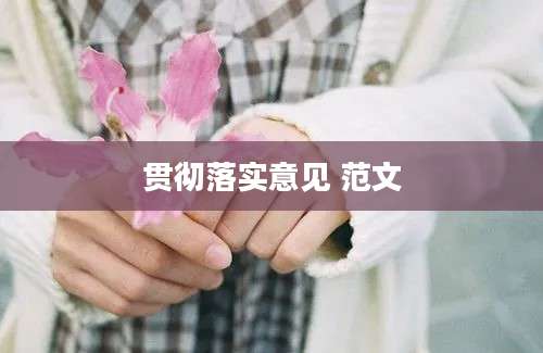 贯彻落实意见 范文