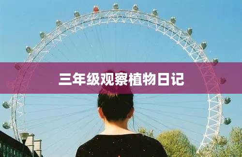 三年级观察植物日记