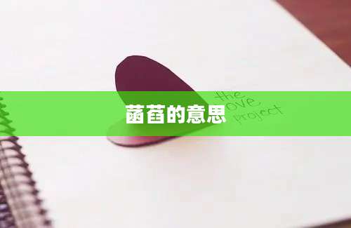 菡萏的意思