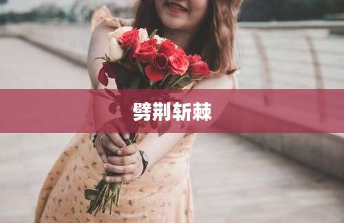 劈荆斩棘