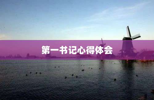 第一书记心得体会