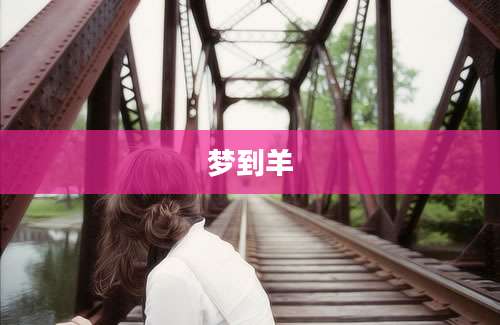 梦到羊