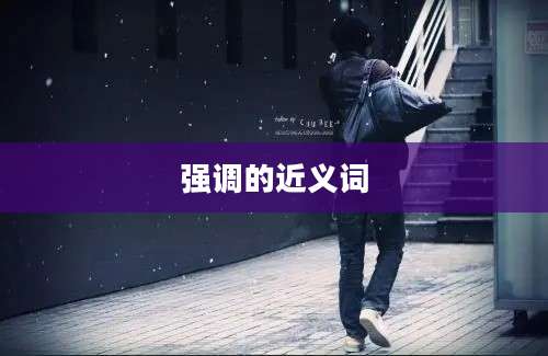 强调的近义词