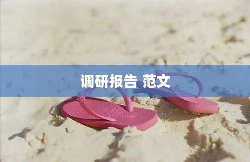 调研报告 范文