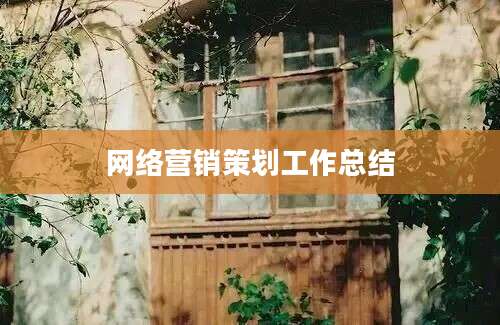 网络营销策划工作总结