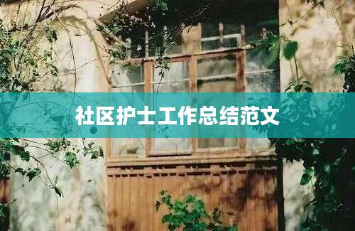 社区护士工作总结范文