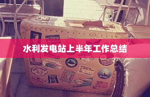 水利发电站上半年工作总结