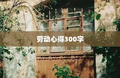 劳动心得300字