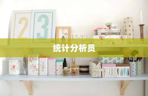 统计分析员