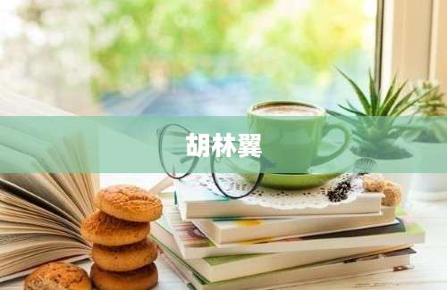 胡林翼