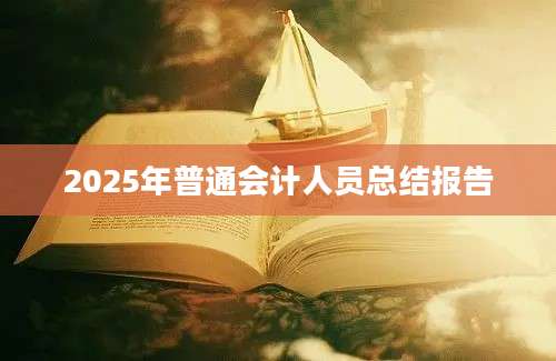 2025年普通会计人员总结报告