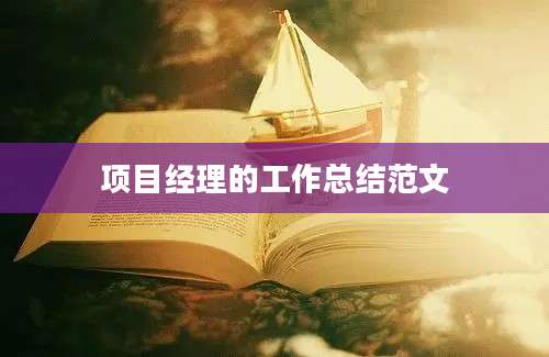 项目经理的工作总结范文