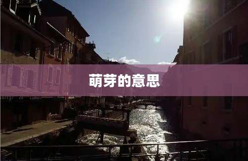 萌芽的意思