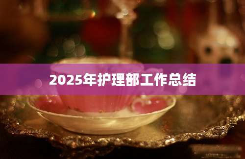 2025年护理部工作总结