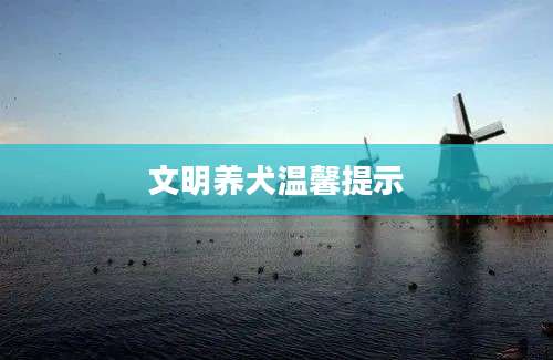 文明养犬温馨提示