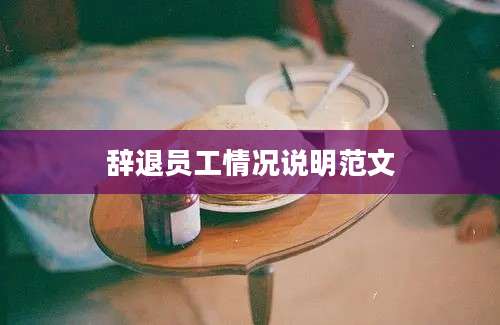 辞退员工情况说明范文
