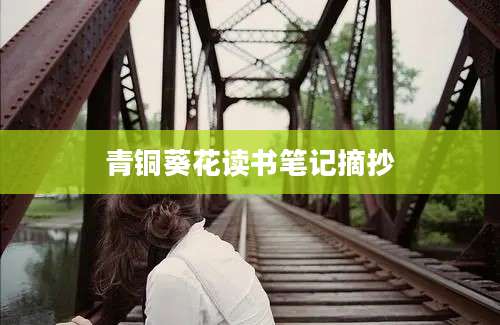 青铜葵花读书笔记摘抄