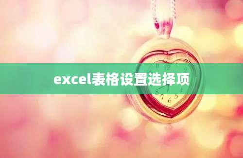 excel表格设置选择项